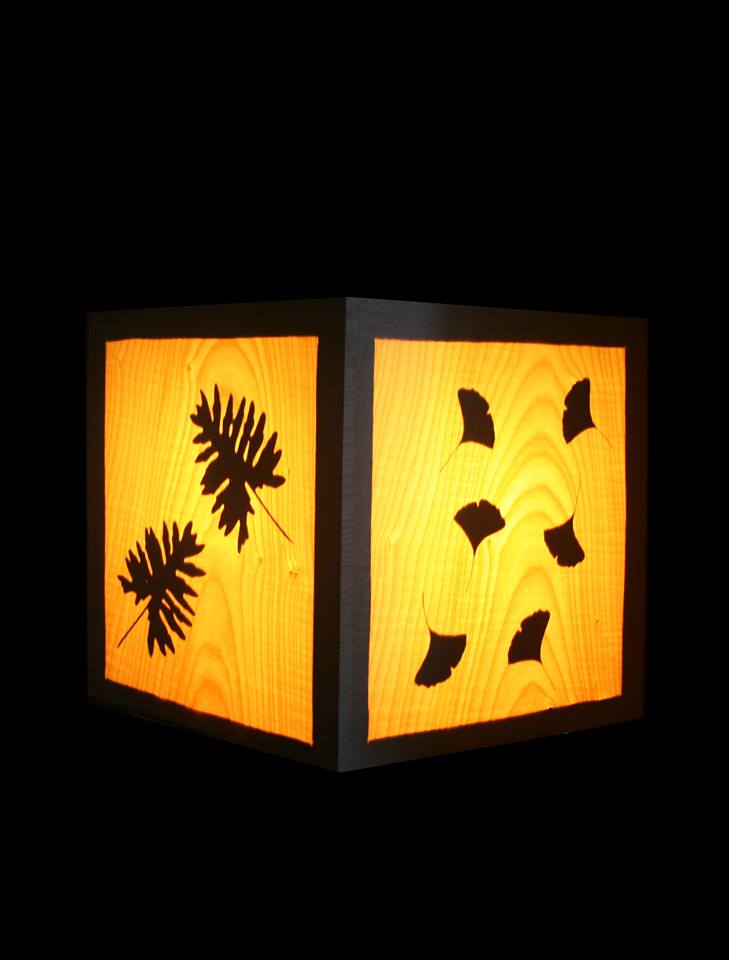 Cube of leafs - Afbeelding 3