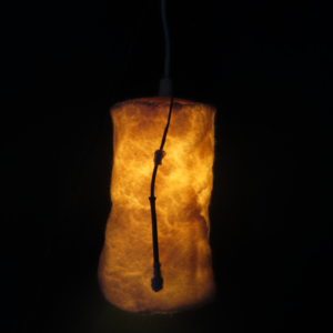 Lumina